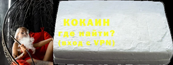 стаф Алзамай
