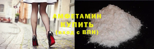 стаф Алзамай
